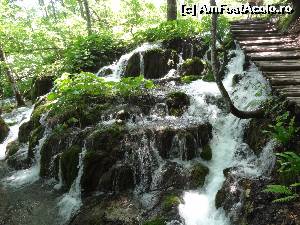 [P62] Lacul Batinovac » foto by Marian Preda
 - 
<span class="allrVoted glyphicon glyphicon-heart hidden" id="av561038"></span>
<a class="m-l-10 hidden" id="sv561038" onclick="voting_Foto_DelVot(,561038,412)" role="button">șterge vot <span class="glyphicon glyphicon-remove"></span></a>
<a id="v9561038" class=" c-red"  onclick="voting_Foto_SetVot(561038)" role="button"><span class="glyphicon glyphicon-heart-empty"></span> <b>LIKE</b> = Votează poza</a> <img class="hidden"  id="f561038W9" src="/imagini/loader.gif" border="0" /><span class="AjErrMes hidden" id="e561038ErM"></span>