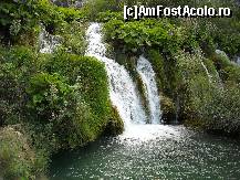 [P01]  -- <small>// FĂRĂ DESCRIERE</small> » foto by Ioana_cj
 - 
<span class="allrVoted glyphicon glyphicon-heart hidden" id="av192995"></span>
<a class="m-l-10 hidden" id="sv192995" onclick="voting_Foto_DelVot(,192995,412)" role="button">șterge vot <span class="glyphicon glyphicon-remove"></span></a>
<a id="v9192995" class=" c-red"  onclick="voting_Foto_SetVot(192995)" role="button"><span class="glyphicon glyphicon-heart-empty"></span> <b>LIKE</b> = Votează poza</a> <img class="hidden"  id="f192995W9" src="/imagini/loader.gif" border="0" /><span class="AjErrMes hidden" id="e192995ErM"></span>