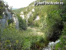 [P02]  -- <small>// FĂRĂ DESCRIERE</small> » foto by Ioana_cj
 - 
<span class="allrVoted glyphicon glyphicon-heart hidden" id="av192996"></span>
<a class="m-l-10 hidden" id="sv192996" onclick="voting_Foto_DelVot(,192996,412)" role="button">șterge vot <span class="glyphicon glyphicon-remove"></span></a>
<a id="v9192996" class=" c-red"  onclick="voting_Foto_SetVot(192996)" role="button"><span class="glyphicon glyphicon-heart-empty"></span> <b>LIKE</b> = Votează poza</a> <img class="hidden"  id="f192996W9" src="/imagini/loader.gif" border="0" /><span class="AjErrMes hidden" id="e192996ErM"></span>