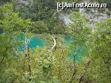 [P03]  -- <small>// FĂRĂ DESCRIERE</small> » foto by Ioana_cj
 - 
<span class="allrVoted glyphicon glyphicon-heart hidden" id="av192997"></span>
<a class="m-l-10 hidden" id="sv192997" onclick="voting_Foto_DelVot(,192997,412)" role="button">șterge vot <span class="glyphicon glyphicon-remove"></span></a>
<a id="v9192997" class=" c-red"  onclick="voting_Foto_SetVot(192997)" role="button"><span class="glyphicon glyphicon-heart-empty"></span> <b>LIKE</b> = Votează poza</a> <img class="hidden"  id="f192997W9" src="/imagini/loader.gif" border="0" /><span class="AjErrMes hidden" id="e192997ErM"></span>