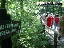 [P01] Parcul National Plitvicka Jezera - Intrarea. » foto by iulianic
 - 
<span class="allrVoted glyphicon glyphicon-heart hidden" id="av289953"></span>
<a class="m-l-10 hidden" id="sv289953" onclick="voting_Foto_DelVot(,289953,412)" role="button">șterge vot <span class="glyphicon glyphicon-remove"></span></a>
<a id="v9289953" class=" c-red"  onclick="voting_Foto_SetVot(289953)" role="button"><span class="glyphicon glyphicon-heart-empty"></span> <b>LIKE</b> = Votează poza</a> <img class="hidden"  id="f289953W9" src="/imagini/loader.gif" border="0" /><span class="AjErrMes hidden" id="e289953ErM"></span>