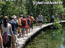 [P11]  -- <small>// FĂRĂ DESCRIERE</small> » foto by alexionescu
 - 
<span class="allrVoted glyphicon glyphicon-heart hidden" id="av290801"></span>
<a class="m-l-10 hidden" id="sv290801" onclick="voting_Foto_DelVot(,290801,412)" role="button">șterge vot <span class="glyphicon glyphicon-remove"></span></a>
<a id="v9290801" class=" c-red"  onclick="voting_Foto_SetVot(290801)" role="button"><span class="glyphicon glyphicon-heart-empty"></span> <b>LIKE</b> = Votează poza</a> <img class="hidden"  id="f290801W9" src="/imagini/loader.gif" border="0" /><span class="AjErrMes hidden" id="e290801ErM"></span>