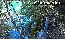 [P05]  -- <small>// FĂRĂ DESCRIERE</small> » foto by traian.leuca †
 - 
<span class="allrVoted glyphicon glyphicon-heart hidden" id="av371808"></span>
<a class="m-l-10 hidden" id="sv371808" onclick="voting_Foto_DelVot(,371808,412)" role="button">șterge vot <span class="glyphicon glyphicon-remove"></span></a>
<a id="v9371808" class=" c-red"  onclick="voting_Foto_SetVot(371808)" role="button"><span class="glyphicon glyphicon-heart-empty"></span> <b>LIKE</b> = Votează poza</a> <img class="hidden"  id="f371808W9" src="/imagini/loader.gif" border="0" /><span class="AjErrMes hidden" id="e371808ErM"></span>