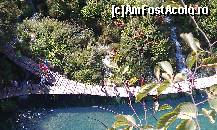 [P08]  -- <small>// FĂRĂ DESCRIERE</small> » foto by traian.leuca †
 - 
<span class="allrVoted glyphicon glyphicon-heart hidden" id="av371811"></span>
<a class="m-l-10 hidden" id="sv371811" onclick="voting_Foto_DelVot(,371811,412)" role="button">șterge vot <span class="glyphicon glyphicon-remove"></span></a>
<a id="v9371811" class=" c-red"  onclick="voting_Foto_SetVot(371811)" role="button"><span class="glyphicon glyphicon-heart-empty"></span> <b>LIKE</b> = Votează poza</a> <img class="hidden"  id="f371811W9" src="/imagini/loader.gif" border="0" /><span class="AjErrMes hidden" id="e371811ErM"></span>