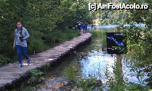 [P14] 'Potecă' peste lacul Galovac. Parcul Plitvice, Croaţia.  » foto by traian.leuca †
 - 
<span class="allrVoted glyphicon glyphicon-heart hidden" id="av467666"></span>
<a class="m-l-10 hidden" id="sv467666" onclick="voting_Foto_DelVot(,467666,412)" role="button">șterge vot <span class="glyphicon glyphicon-remove"></span></a>
<a id="v9467666" class=" c-red"  onclick="voting_Foto_SetVot(467666)" role="button"><span class="glyphicon glyphicon-heart-empty"></span> <b>LIKE</b> = Votează poza</a> <img class="hidden"  id="f467666W9" src="/imagini/loader.gif" border="0" /><span class="AjErrMes hidden" id="e467666ErM"></span>