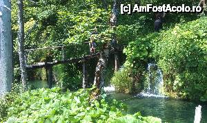 [P19] Conlucrarea omului cu natura. O punte peste ape care parcă face parte din peisaj. Parcul Plitvice, Croaţia.  » foto by traian.leuca †
 - 
<span class="allrVoted glyphicon glyphicon-heart hidden" id="av467671"></span>
<a class="m-l-10 hidden" id="sv467671" onclick="voting_Foto_DelVot(,467671,412)" role="button">șterge vot <span class="glyphicon glyphicon-remove"></span></a>
<a id="v9467671" class=" c-red"  onclick="voting_Foto_SetVot(467671)" role="button"><span class="glyphicon glyphicon-heart-empty"></span> <b>LIKE</b> = Votează poza</a> <img class="hidden"  id="f467671W9" src="/imagini/loader.gif" border="0" /><span class="AjErrMes hidden" id="e467671ErM"></span>