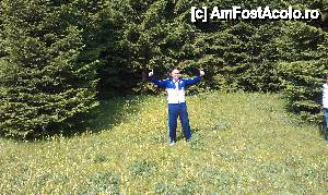 [P02] Aici mă simt cel mai bine! Poieniţa şi pădurea de brazi aflată imediat după intrarea în parc pe la St4. Parcul Plitvice, Croaţia.  » foto by traian.leuca †
 - 
<span class="allrVoted glyphicon glyphicon-heart hidden" id="av467654"></span>
<a class="m-l-10 hidden" id="sv467654" onclick="voting_Foto_DelVot(,467654,412)" role="button">șterge vot <span class="glyphicon glyphicon-remove"></span></a>
<a id="v9467654" class=" c-red"  onclick="voting_Foto_SetVot(467654)" role="button"><span class="glyphicon glyphicon-heart-empty"></span> <b>LIKE</b> = Votează poza</a> <img class="hidden"  id="f467654W9" src="/imagini/loader.gif" border="0" /><span class="AjErrMes hidden" id="e467654ErM"></span>