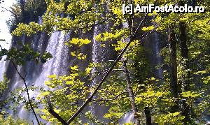 [P20] Înţiruire de cascade în Parcul Plitvice, Croaţia.  » foto by traian.leuca †
 - 
<span class="allrVoted glyphicon glyphicon-heart hidden" id="av467672"></span>
<a class="m-l-10 hidden" id="sv467672" onclick="voting_Foto_DelVot(,467672,412)" role="button">șterge vot <span class="glyphicon glyphicon-remove"></span></a>
<a id="v9467672" class=" c-red"  onclick="voting_Foto_SetVot(467672)" role="button"><span class="glyphicon glyphicon-heart-empty"></span> <b>LIKE</b> = Votează poza</a> <img class="hidden"  id="f467672W9" src="/imagini/loader.gif" border="0" /><span class="AjErrMes hidden" id="e467672ErM"></span>