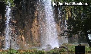 [P22] Mali Prstavac (Mica Stropitoare?) din Parcul Plitvice, Croaţia.  » foto by traian.leuca †
 - 
<span class="allrVoted glyphicon glyphicon-heart hidden" id="av467682"></span>
<a class="m-l-10 hidden" id="sv467682" onclick="voting_Foto_DelVot(,467682,412)" role="button">șterge vot <span class="glyphicon glyphicon-remove"></span></a>
<a id="v9467682" class=" c-red"  onclick="voting_Foto_SetVot(467682)" role="button"><span class="glyphicon glyphicon-heart-empty"></span> <b>LIKE</b> = Votează poza</a> <img class="hidden"  id="f467682W9" src="/imagini/loader.gif" border="0" /><span class="AjErrMes hidden" id="e467682ErM"></span>