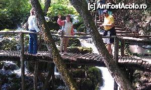 [P05] În mijlocul şi totodată deasupra apelor în Parcul Plitvice, Croaţia.  » foto by traian.leuca †
 - 
<span class="allrVoted glyphicon glyphicon-heart hidden" id="av467657"></span>
<a class="m-l-10 hidden" id="sv467657" onclick="voting_Foto_DelVot(,467657,412)" role="button">șterge vot <span class="glyphicon glyphicon-remove"></span></a>
<a id="v9467657" class=" c-red"  onclick="voting_Foto_SetVot(467657)" role="button"><span class="glyphicon glyphicon-heart-empty"></span> <b>LIKE</b> = Votează poza</a> <img class="hidden"  id="f467657W9" src="/imagini/loader.gif" border="0" /><span class="AjErrMes hidden" id="e467657ErM"></span>