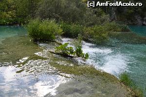 [P10] Frumusețe » foto by krisztike
 - 
<span class="allrVoted glyphicon glyphicon-heart hidden" id="av658298"></span>
<a class="m-l-10 hidden" id="sv658298" onclick="voting_Foto_DelVot(,658298,412)" role="button">șterge vot <span class="glyphicon glyphicon-remove"></span></a>
<a id="v9658298" class=" c-red"  onclick="voting_Foto_SetVot(658298)" role="button"><span class="glyphicon glyphicon-heart-empty"></span> <b>LIKE</b> = Votează poza</a> <img class="hidden"  id="f658298W9" src="/imagini/loader.gif" border="0" /><span class="AjErrMes hidden" id="e658298ErM"></span>