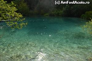 [P08] Peștișorii au o viață superbă » foto by krisztike
 - 
<span class="allrVoted glyphicon glyphicon-heart hidden" id="av658296"></span>
<a class="m-l-10 hidden" id="sv658296" onclick="voting_Foto_DelVot(,658296,412)" role="button">șterge vot <span class="glyphicon glyphicon-remove"></span></a>
<a id="v9658296" class=" c-red"  onclick="voting_Foto_SetVot(658296)" role="button"><span class="glyphicon glyphicon-heart-empty"></span> <b>LIKE</b> = Votează poza</a> <img class="hidden"  id="f658296W9" src="/imagini/loader.gif" border="0" /><span class="AjErrMes hidden" id="e658296ErM"></span>