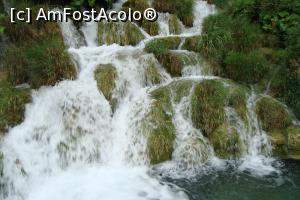 [P04] Plitvice o adevarata minune a naturii...  » foto by narcissa
 - 
<span class="allrVoted glyphicon glyphicon-heart hidden" id="av769956"></span>
<a class="m-l-10 hidden" id="sv769956" onclick="voting_Foto_DelVot(,769956,412)" role="button">șterge vot <span class="glyphicon glyphicon-remove"></span></a>
<a id="v9769956" class=" c-red"  onclick="voting_Foto_SetVot(769956)" role="button"><span class="glyphicon glyphicon-heart-empty"></span> <b>LIKE</b> = Votează poza</a> <img class="hidden"  id="f769956W9" src="/imagini/loader.gif" border="0" /><span class="AjErrMes hidden" id="e769956ErM"></span>