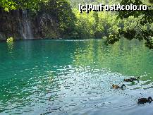 [P15] ratuste rasfatate » foto by liniuta
 - 
<span class="allrVoted glyphicon glyphicon-heart hidden" id="av349239"></span>
<a class="m-l-10 hidden" id="sv349239" onclick="voting_Foto_DelVot(,349239,412)" role="button">șterge vot <span class="glyphicon glyphicon-remove"></span></a>
<a id="v9349239" class=" c-red"  onclick="voting_Foto_SetVot(349239)" role="button"><span class="glyphicon glyphicon-heart-empty"></span> <b>LIKE</b> = Votează poza</a> <img class="hidden"  id="f349239W9" src="/imagini/loader.gif" border="0" /><span class="AjErrMes hidden" id="e349239ErM"></span>