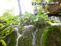 [P21] poteci printre ape » foto by liniuta
 - 
<span class="allrVoted glyphicon glyphicon-heart hidden" id="av349258"></span>
<a class="m-l-10 hidden" id="sv349258" onclick="voting_Foto_DelVot(,349258,412)" role="button">șterge vot <span class="glyphicon glyphicon-remove"></span></a>
<a id="v9349258" class=" c-red"  onclick="voting_Foto_SetVot(349258)" role="button"><span class="glyphicon glyphicon-heart-empty"></span> <b>LIKE</b> = Votează poza</a> <img class="hidden"  id="f349258W9" src="/imagini/loader.gif" border="0" /><span class="AjErrMes hidden" id="e349258ErM"></span>