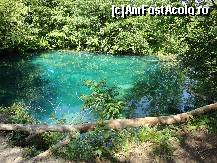 [P23] turcoaz o culoare ce acapareaza locul » foto by liniuta
 - 
<span class="allrVoted glyphicon glyphicon-heart hidden" id="av349261"></span>
<a class="m-l-10 hidden" id="sv349261" onclick="voting_Foto_DelVot(,349261,412)" role="button">șterge vot <span class="glyphicon glyphicon-remove"></span></a>
<a id="v9349261" class=" c-red"  onclick="voting_Foto_SetVot(349261)" role="button"><span class="glyphicon glyphicon-heart-empty"></span> <b>LIKE</b> = Votează poza</a> <img class="hidden"  id="f349261W9" src="/imagini/loader.gif" border="0" /><span class="AjErrMes hidden" id="e349261ErM"></span>