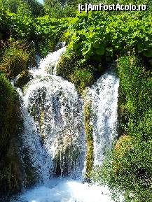 [P24] Un dus la care nu aveam acces » foto by liniuta
 - 
<span class="allrVoted glyphicon glyphicon-heart hidden" id="av349264"></span>
<a class="m-l-10 hidden" id="sv349264" onclick="voting_Foto_DelVot(,349264,412)" role="button">șterge vot <span class="glyphicon glyphicon-remove"></span></a>
<a id="v9349264" class=" c-red"  onclick="voting_Foto_SetVot(349264)" role="button"><span class="glyphicon glyphicon-heart-empty"></span> <b>LIKE</b> = Votează poza</a> <img class="hidden"  id="f349264W9" src="/imagini/loader.gif" border="0" /><span class="AjErrMes hidden" id="e349264ErM"></span>