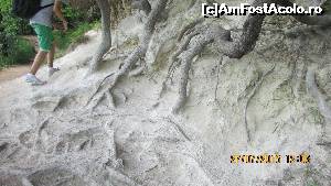 [P19]  -- <small>// FĂRĂ DESCRIERE</small> » foto by crismis
 - 
<span class="allrVoted glyphicon glyphicon-heart hidden" id="av667790"></span>
<a class="m-l-10 hidden" id="sv667790" onclick="voting_Foto_DelVot(,667790,412)" role="button">șterge vot <span class="glyphicon glyphicon-remove"></span></a>
<a id="v9667790" class=" c-red"  onclick="voting_Foto_SetVot(667790)" role="button"><span class="glyphicon glyphicon-heart-empty"></span> <b>LIKE</b> = Votează poza</a> <img class="hidden"  id="f667790W9" src="/imagini/loader.gif" border="0" /><span class="AjErrMes hidden" id="e667790ErM"></span>