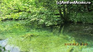 [P26] 'Steaua de mare' » foto by crismis
 - 
<span class="allrVoted glyphicon glyphicon-heart hidden" id="av667797"></span>
<a class="m-l-10 hidden" id="sv667797" onclick="voting_Foto_DelVot(,667797,412)" role="button">șterge vot <span class="glyphicon glyphicon-remove"></span></a>
<a id="v9667797" class=" c-red"  onclick="voting_Foto_SetVot(667797)" role="button"><span class="glyphicon glyphicon-heart-empty"></span> <b>LIKE</b> = Votează poza</a> <img class="hidden"  id="f667797W9" src="/imagini/loader.gif" border="0" /><span class="AjErrMes hidden" id="e667797ErM"></span>