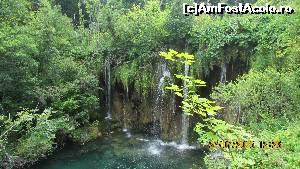 [P27] Parcul Plitvice (sau Paradisul Ceresc?)  » foto by crismis
 - 
<span class="allrVoted glyphicon glyphicon-heart hidden" id="av667798"></span>
<a class="m-l-10 hidden" id="sv667798" onclick="voting_Foto_DelVot(,667798,412)" role="button">șterge vot <span class="glyphicon glyphicon-remove"></span></a>
<a id="v9667798" class=" c-red"  onclick="voting_Foto_SetVot(667798)" role="button"><span class="glyphicon glyphicon-heart-empty"></span> <b>LIKE</b> = Votează poza</a> <img class="hidden"  id="f667798W9" src="/imagini/loader.gif" border="0" /><span class="AjErrMes hidden" id="e667798ErM"></span>