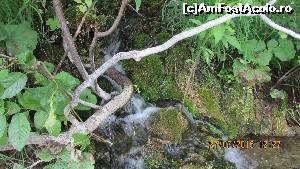 [P29] Parcul Plitvice (sau Paradisul Ceresc?)  » foto by crismis
 - 
<span class="allrVoted glyphicon glyphicon-heart hidden" id="av667800"></span>
<a class="m-l-10 hidden" id="sv667800" onclick="voting_Foto_DelVot(,667800,412)" role="button">șterge vot <span class="glyphicon glyphicon-remove"></span></a>
<a id="v9667800" class=" c-red"  onclick="voting_Foto_SetVot(667800)" role="button"><span class="glyphicon glyphicon-heart-empty"></span> <b>LIKE</b> = Votează poza</a> <img class="hidden"  id="f667800W9" src="/imagini/loader.gif" border="0" /><span class="AjErrMes hidden" id="e667800ErM"></span>