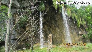 [P31] Parcul Plitvice (sau Paradisul Ceresc?)  » foto by crismis
 - 
<span class="allrVoted glyphicon glyphicon-heart hidden" id="av667802"></span>
<a class="m-l-10 hidden" id="sv667802" onclick="voting_Foto_DelVot(,667802,412)" role="button">șterge vot <span class="glyphicon glyphicon-remove"></span></a>
<a id="v9667802" class=" c-red"  onclick="voting_Foto_SetVot(667802)" role="button"><span class="glyphicon glyphicon-heart-empty"></span> <b>LIKE</b> = Votează poza</a> <img class="hidden"  id="f667802W9" src="/imagini/loader.gif" border="0" /><span class="AjErrMes hidden" id="e667802ErM"></span>