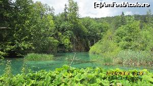 [P33] Parcul Plitvice (sau Paradisul Ceresc?)  » foto by crismis
 - 
<span class="allrVoted glyphicon glyphicon-heart hidden" id="av667804"></span>
<a class="m-l-10 hidden" id="sv667804" onclick="voting_Foto_DelVot(,667804,412)" role="button">șterge vot <span class="glyphicon glyphicon-remove"></span></a>
<a id="v9667804" class=" c-red"  onclick="voting_Foto_SetVot(667804)" role="button"><span class="glyphicon glyphicon-heart-empty"></span> <b>LIKE</b> = Votează poza</a> <img class="hidden"  id="f667804W9" src="/imagini/loader.gif" border="0" /><span class="AjErrMes hidden" id="e667804ErM"></span>