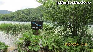 [P37]  -- <small>// FĂRĂ DESCRIERE</small> » foto by crismis
 - 
<span class="allrVoted glyphicon glyphicon-heart hidden" id="av667808"></span>
<a class="m-l-10 hidden" id="sv667808" onclick="voting_Foto_DelVot(,667808,412)" role="button">șterge vot <span class="glyphicon glyphicon-remove"></span></a>
<a id="v9667808" class=" c-red"  onclick="voting_Foto_SetVot(667808)" role="button"><span class="glyphicon glyphicon-heart-empty"></span> <b>LIKE</b> = Votează poza</a> <img class="hidden"  id="f667808W9" src="/imagini/loader.gif" border="0" /><span class="AjErrMes hidden" id="e667808ErM"></span>