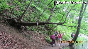 [P41] De plimbarea prin parc se bucură cu toţii, de la mic la mare » foto by crismis
 - 
<span class="allrVoted glyphicon glyphicon-heart hidden" id="av667812"></span>
<a class="m-l-10 hidden" id="sv667812" onclick="voting_Foto_DelVot(,667812,412)" role="button">șterge vot <span class="glyphicon glyphicon-remove"></span></a>
<a id="v9667812" class=" c-red"  onclick="voting_Foto_SetVot(667812)" role="button"><span class="glyphicon glyphicon-heart-empty"></span> <b>LIKE</b> = Votează poza</a> <img class="hidden"  id="f667812W9" src="/imagini/loader.gif" border="0" /><span class="AjErrMes hidden" id="e667812ErM"></span>