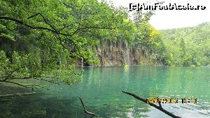 [P42] Parcul Plitvice (sau Paradisul Ceresc?)  » foto by crismis
 - 
<span class="allrVoted glyphicon glyphicon-heart hidden" id="av667813"></span>
<a class="m-l-10 hidden" id="sv667813" onclick="voting_Foto_DelVot(,667813,412)" role="button">șterge vot <span class="glyphicon glyphicon-remove"></span></a>
<a id="v9667813" class=" c-red"  onclick="voting_Foto_SetVot(667813)" role="button"><span class="glyphicon glyphicon-heart-empty"></span> <b>LIKE</b> = Votează poza</a> <img class="hidden"  id="f667813W9" src="/imagini/loader.gif" border="0" /><span class="AjErrMes hidden" id="e667813ErM"></span>