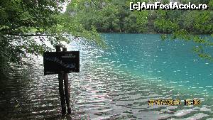 [P54]  -- <small>// FĂRĂ DESCRIERE</small> » foto by crismis
 - 
<span class="allrVoted glyphicon glyphicon-heart hidden" id="av667825"></span>
<a class="m-l-10 hidden" id="sv667825" onclick="voting_Foto_DelVot(,667825,412)" role="button">șterge vot <span class="glyphicon glyphicon-remove"></span></a>
<a id="v9667825" class=" c-red"  onclick="voting_Foto_SetVot(667825)" role="button"><span class="glyphicon glyphicon-heart-empty"></span> <b>LIKE</b> = Votează poza</a> <img class="hidden"  id="f667825W9" src="/imagini/loader.gif" border="0" /><span class="AjErrMes hidden" id="e667825ErM"></span>