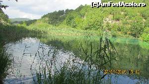 [P57]  -- <small>// FĂRĂ DESCRIERE</small> » foto by crismis
 - 
<span class="allrVoted glyphicon glyphicon-heart hidden" id="av667829"></span>
<a class="m-l-10 hidden" id="sv667829" onclick="voting_Foto_DelVot(,667829,412)" role="button">șterge vot <span class="glyphicon glyphicon-remove"></span></a>
<a id="v9667829" class=" c-red"  onclick="voting_Foto_SetVot(667829)" role="button"><span class="glyphicon glyphicon-heart-empty"></span> <b>LIKE</b> = Votează poza</a> <img class="hidden"  id="f667829W9" src="/imagini/loader.gif" border="0" /><span class="AjErrMes hidden" id="e667829ErM"></span>