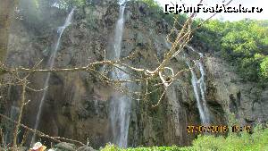 [P60] Tot ea (o parte)  » foto by crismis
 - 
<span class="allrVoted glyphicon glyphicon-heart hidden" id="av667833"></span>
<a class="m-l-10 hidden" id="sv667833" onclick="voting_Foto_DelVot(,667833,412)" role="button">șterge vot <span class="glyphicon glyphicon-remove"></span></a>
<a id="v9667833" class=" c-red"  onclick="voting_Foto_SetVot(667833)" role="button"><span class="glyphicon glyphicon-heart-empty"></span> <b>LIKE</b> = Votează poza</a> <img class="hidden"  id="f667833W9" src="/imagini/loader.gif" border="0" /><span class="AjErrMes hidden" id="e667833ErM"></span>