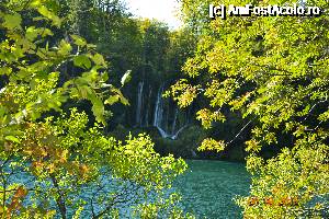 [P01]  -- <small>// FĂRĂ DESCRIERE</small> » foto by alyna_sv
 - 
<span class="allrVoted glyphicon glyphicon-heart hidden" id="av693374"></span>
<a class="m-l-10 hidden" id="sv693374" onclick="voting_Foto_DelVot(,693374,412)" role="button">șterge vot <span class="glyphicon glyphicon-remove"></span></a>
<a id="v9693374" class=" c-red"  onclick="voting_Foto_SetVot(693374)" role="button"><span class="glyphicon glyphicon-heart-empty"></span> <b>LIKE</b> = Votează poza</a> <img class="hidden"  id="f693374W9" src="/imagini/loader.gif" border="0" /><span class="AjErrMes hidden" id="e693374ErM"></span>