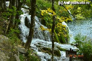 [P11]  -- <small>// FĂRĂ DESCRIERE</small> » foto by alyna_sv
 - 
<span class="allrVoted glyphicon glyphicon-heart hidden" id="av693388"></span>
<a class="m-l-10 hidden" id="sv693388" onclick="voting_Foto_DelVot(,693388,412)" role="button">șterge vot <span class="glyphicon glyphicon-remove"></span></a>
<a id="v9693388" class=" c-red"  onclick="voting_Foto_SetVot(693388)" role="button"><span class="glyphicon glyphicon-heart-empty"></span> <b>LIKE</b> = Votează poza</a> <img class="hidden"  id="f693388W9" src="/imagini/loader.gif" border="0" /><span class="AjErrMes hidden" id="e693388ErM"></span>