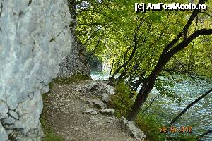 [P12]  -- <small>// FĂRĂ DESCRIERE</small> » foto by alyna_sv
 - 
<span class="allrVoted glyphicon glyphicon-heart hidden" id="av693389"></span>
<a class="m-l-10 hidden" id="sv693389" onclick="voting_Foto_DelVot(,693389,412)" role="button">șterge vot <span class="glyphicon glyphicon-remove"></span></a>
<a id="v9693389" class=" c-red"  onclick="voting_Foto_SetVot(693389)" role="button"><span class="glyphicon glyphicon-heart-empty"></span> <b>LIKE</b> = Votează poza</a> <img class="hidden"  id="f693389W9" src="/imagini/loader.gif" border="0" /><span class="AjErrMes hidden" id="e693389ErM"></span>