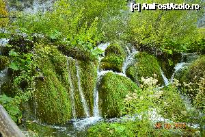 [P15]  -- <small>// FĂRĂ DESCRIERE</small> » foto by alyna_sv
 - 
<span class="allrVoted glyphicon glyphicon-heart hidden" id="av693393"></span>
<a class="m-l-10 hidden" id="sv693393" onclick="voting_Foto_DelVot(,693393,412)" role="button">șterge vot <span class="glyphicon glyphicon-remove"></span></a>
<a id="v9693393" class=" c-red"  onclick="voting_Foto_SetVot(693393)" role="button"><span class="glyphicon glyphicon-heart-empty"></span> <b>LIKE</b> = Votează poza</a> <img class="hidden"  id="f693393W9" src="/imagini/loader.gif" border="0" /><span class="AjErrMes hidden" id="e693393ErM"></span>