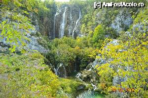 [P17]  -- <small>// FĂRĂ DESCRIERE</small> » foto by alyna_sv
 - 
<span class="allrVoted glyphicon glyphicon-heart hidden" id="av693396"></span>
<a class="m-l-10 hidden" id="sv693396" onclick="voting_Foto_DelVot(,693396,412)" role="button">șterge vot <span class="glyphicon glyphicon-remove"></span></a>
<a id="v9693396" class=" c-red"  onclick="voting_Foto_SetVot(693396)" role="button"><span class="glyphicon glyphicon-heart-empty"></span> <b>LIKE</b> = Votează poza</a> <img class="hidden"  id="f693396W9" src="/imagini/loader.gif" border="0" /><span class="AjErrMes hidden" id="e693396ErM"></span>