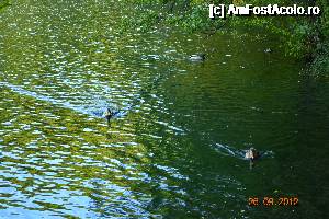 [P03]  -- <small>// FĂRĂ DESCRIERE</small> » foto by alyna_sv
 - 
<span class="allrVoted glyphicon glyphicon-heart hidden" id="av693377"></span>
<a class="m-l-10 hidden" id="sv693377" onclick="voting_Foto_DelVot(,693377,412)" role="button">șterge vot <span class="glyphicon glyphicon-remove"></span></a>
<a id="v9693377" class=" c-red"  onclick="voting_Foto_SetVot(693377)" role="button"><span class="glyphicon glyphicon-heart-empty"></span> <b>LIKE</b> = Votează poza</a> <img class="hidden"  id="f693377W9" src="/imagini/loader.gif" border="0" /><span class="AjErrMes hidden" id="e693377ErM"></span>