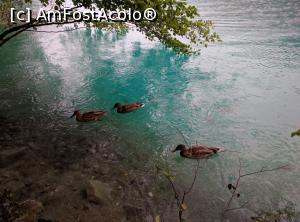 [P04]  -- <small>// FĂRĂ DESCRIERE</small> » foto by theo1208
 - 
<span class="allrVoted glyphicon glyphicon-heart hidden" id="av847035"></span>
<a class="m-l-10 hidden" id="sv847035" onclick="voting_Foto_DelVot(,847035,412)" role="button">șterge vot <span class="glyphicon glyphicon-remove"></span></a>
<a id="v9847035" class=" c-red"  onclick="voting_Foto_SetVot(847035)" role="button"><span class="glyphicon glyphicon-heart-empty"></span> <b>LIKE</b> = Votează poza</a> <img class="hidden"  id="f847035W9" src="/imagini/loader.gif" border="0" /><span class="AjErrMes hidden" id="e847035ErM"></span>