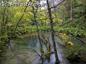 [P05]  -- <small>// FĂRĂ DESCRIERE</small> » foto by theo1208
 - 
<span class="allrVoted glyphicon glyphicon-heart hidden" id="av847036"></span>
<a class="m-l-10 hidden" id="sv847036" onclick="voting_Foto_DelVot(,847036,412)" role="button">șterge vot <span class="glyphicon glyphicon-remove"></span></a>
<a id="v9847036" class=" c-red"  onclick="voting_Foto_SetVot(847036)" role="button"><span class="glyphicon glyphicon-heart-empty"></span> <b>LIKE</b> = Votează poza</a> <img class="hidden"  id="f847036W9" src="/imagini/loader.gif" border="0" /><span class="AjErrMes hidden" id="e847036ErM"></span>