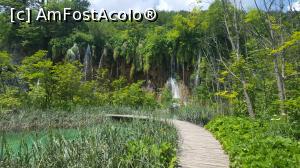[P10] Parcul Național Lacurile Plitvice.  » foto by Aurici
 - 
<span class="allrVoted glyphicon glyphicon-heart hidden" id="av1026523"></span>
<a class="m-l-10 hidden" id="sv1026523" onclick="voting_Foto_DelVot(,1026523,412)" role="button">șterge vot <span class="glyphicon glyphicon-remove"></span></a>
<a id="v91026523" class=" c-red"  onclick="voting_Foto_SetVot(1026523)" role="button"><span class="glyphicon glyphicon-heart-empty"></span> <b>LIKE</b> = Votează poza</a> <img class="hidden"  id="f1026523W9" src="/imagini/loader.gif" border="0" /><span class="AjErrMes hidden" id="e1026523ErM"></span>