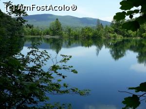 [P12] Parcul Național Lacurile Plitvice.  » foto by Aurici
 - 
<span class="allrVoted glyphicon glyphicon-heart hidden" id="av1026525"></span>
<a class="m-l-10 hidden" id="sv1026525" onclick="voting_Foto_DelVot(,1026525,412)" role="button">șterge vot <span class="glyphicon glyphicon-remove"></span></a>
<a id="v91026525" class=" c-red"  onclick="voting_Foto_SetVot(1026525)" role="button"><span class="glyphicon glyphicon-heart-empty"></span> <b>LIKE</b> = Votează poza</a> <img class="hidden"  id="f1026525W9" src="/imagini/loader.gif" border="0" /><span class="AjErrMes hidden" id="e1026525ErM"></span>