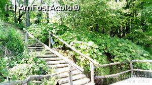 [P37] Parcul National Lacurile Plitvice.  » foto by Aurici
 - 
<span class="allrVoted glyphicon glyphicon-heart hidden" id="av1026550"></span>
<a class="m-l-10 hidden" id="sv1026550" onclick="voting_Foto_DelVot(,1026550,412)" role="button">șterge vot <span class="glyphicon glyphicon-remove"></span></a>
<a id="v91026550" class=" c-red"  onclick="voting_Foto_SetVot(1026550)" role="button"><span class="glyphicon glyphicon-heart-empty"></span> <b>LIKE</b> = Votează poza</a> <img class="hidden"  id="f1026550W9" src="/imagini/loader.gif" border="0" /><span class="AjErrMes hidden" id="e1026550ErM"></span>