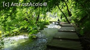 [P09] Parcul Național Lacurile Plitvice.  » foto by Aurici
 - 
<span class="allrVoted glyphicon glyphicon-heart hidden" id="av1026522"></span>
<a class="m-l-10 hidden" id="sv1026522" onclick="voting_Foto_DelVot(,1026522,412)" role="button">șterge vot <span class="glyphicon glyphicon-remove"></span></a>
<a id="v91026522" class=" c-red"  onclick="voting_Foto_SetVot(1026522)" role="button"><span class="glyphicon glyphicon-heart-empty"></span> <b>LIKE</b> = Votează poza</a> <img class="hidden"  id="f1026522W9" src="/imagini/loader.gif" border="0" /><span class="AjErrMes hidden" id="e1026522ErM"></span>