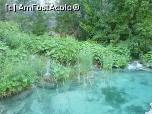 [P58] 58. Apă și vegetație. » foto by msnd
 - 
<span class="allrVoted glyphicon glyphicon-heart hidden" id="av1261140"></span>
<a class="m-l-10 hidden" id="sv1261140" onclick="voting_Foto_DelVot(,1261140,412)" role="button">șterge vot <span class="glyphicon glyphicon-remove"></span></a>
<a id="v91261140" class=" c-red"  onclick="voting_Foto_SetVot(1261140)" role="button"><span class="glyphicon glyphicon-heart-empty"></span> <b>LIKE</b> = Votează poza</a> <img class="hidden"  id="f1261140W9" src="/imagini/loader.gif" border="0" /><span class="AjErrMes hidden" id="e1261140ErM"></span>