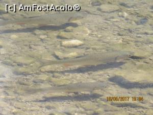 [P14] Șefii!  » foto by elviramvio
 - 
<span class="allrVoted glyphicon glyphicon-heart hidden" id="av869163"></span>
<a class="m-l-10 hidden" id="sv869163" onclick="voting_Foto_DelVot(,869163,412)" role="button">șterge vot <span class="glyphicon glyphicon-remove"></span></a>
<a id="v9869163" class=" c-red"  onclick="voting_Foto_SetVot(869163)" role="button"><span class="glyphicon glyphicon-heart-empty"></span> <b>LIKE</b> = Votează poza</a> <img class="hidden"  id="f869163W9" src="/imagini/loader.gif" border="0" /><span class="AjErrMes hidden" id="e869163ErM"></span>