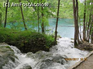 [P17] Încercâm să ne înțelegem căci apa e regina!  » foto by elviramvio
 - 
<span class="allrVoted glyphicon glyphicon-heart hidden" id="av869166"></span>
<a class="m-l-10 hidden" id="sv869166" onclick="voting_Foto_DelVot(,869166,412)" role="button">șterge vot <span class="glyphicon glyphicon-remove"></span></a>
<a id="v9869166" class=" c-red"  onclick="voting_Foto_SetVot(869166)" role="button"><span class="glyphicon glyphicon-heart-empty"></span> <b>LIKE</b> = Votează poza</a> <img class="hidden"  id="f869166W9" src="/imagini/loader.gif" border="0" /><span class="AjErrMes hidden" id="e869166ErM"></span>