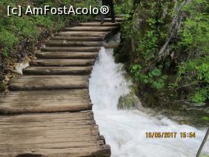 [P26] A fost o primăvară ploioasă, apă multă!  » foto by elviramvio
 - 
<span class="allrVoted glyphicon glyphicon-heart hidden" id="av869175"></span>
<a class="m-l-10 hidden" id="sv869175" onclick="voting_Foto_DelVot(,869175,412)" role="button">șterge vot <span class="glyphicon glyphicon-remove"></span></a>
<a id="v9869175" class=" c-red"  onclick="voting_Foto_SetVot(869175)" role="button"><span class="glyphicon glyphicon-heart-empty"></span> <b>LIKE</b> = Votează poza</a> <img class="hidden"  id="f869175W9" src="/imagini/loader.gif" border="0" /><span class="AjErrMes hidden" id="e869175ErM"></span>