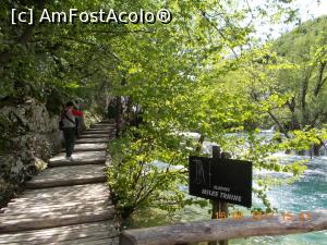 [P46]  -- <small>// FĂRĂ DESCRIERE</small> » foto by elviramvio
 - 
<span class="allrVoted glyphicon glyphicon-heart hidden" id="av869195"></span>
<a class="m-l-10 hidden" id="sv869195" onclick="voting_Foto_DelVot(,869195,412)" role="button">șterge vot <span class="glyphicon glyphicon-remove"></span></a>
<a id="v9869195" class=" c-red"  onclick="voting_Foto_SetVot(869195)" role="button"><span class="glyphicon glyphicon-heart-empty"></span> <b>LIKE</b> = Votează poza</a> <img class="hidden"  id="f869195W9" src="/imagini/loader.gif" border="0" /><span class="AjErrMes hidden" id="e869195ErM"></span>